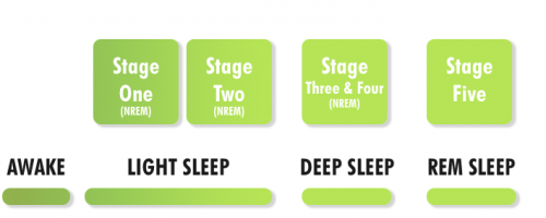 The different stages of sleep - Stages image